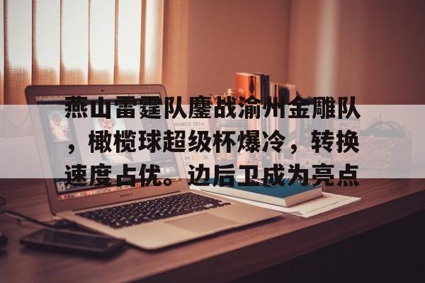 爱游戏在线服务-燕山雷霆队鏖战渝州金雕队,橄榄球超级杯爆冷,转换速度占优。边后卫成为亮点的简单介绍